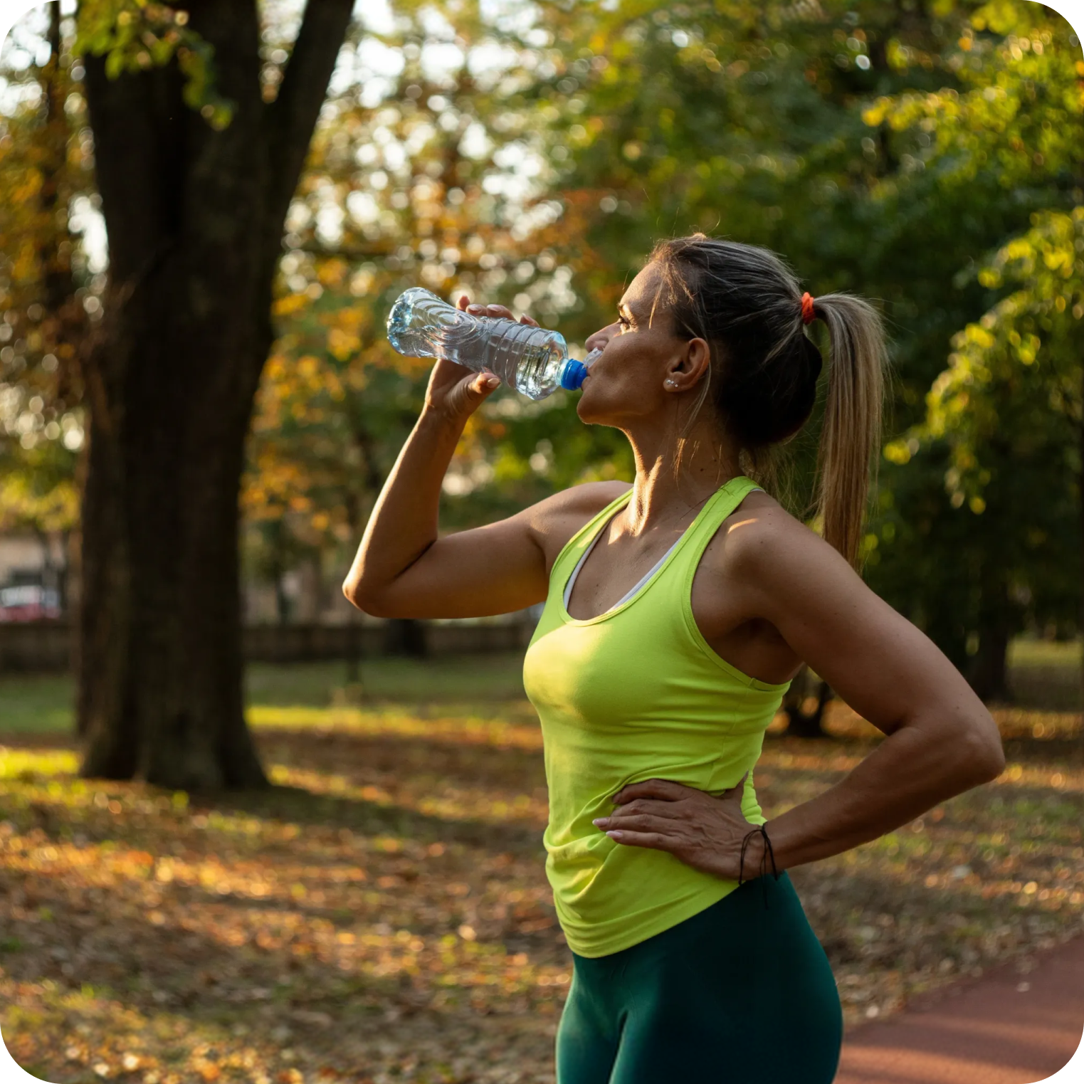World Menopause Day: Supporting Your Body Through Menopause - elete™ - The Electrolyte Concentrate
