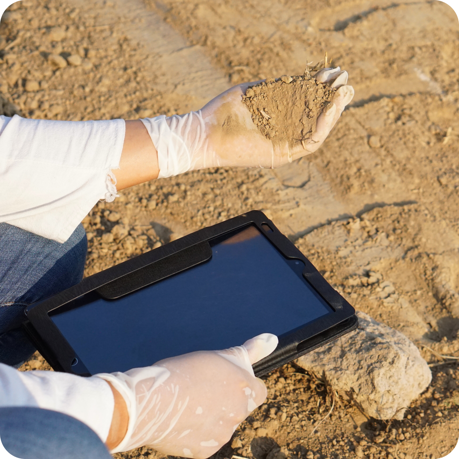 Person in gloves analyzing soil outdoors with a tablet on dry ground
