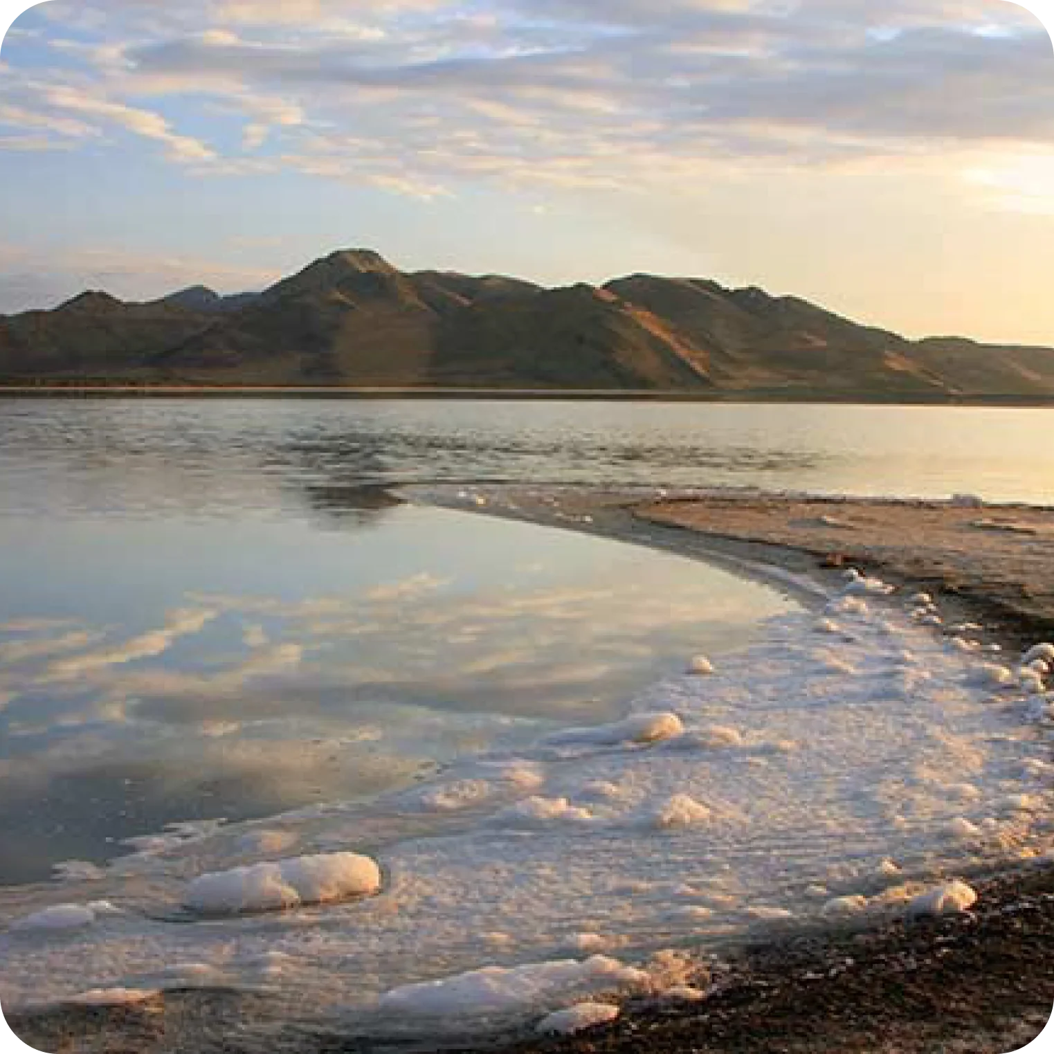 Mineral-rich salt crust on a natural lake shoreline at sunset, with distant mountains and clear sky.