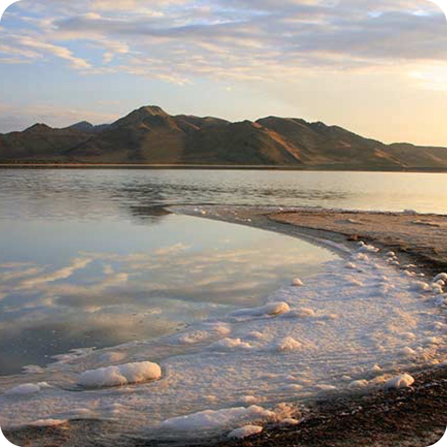 Mineral-rich salt crust on a natural lake shoreline at sunset, with distant mountains and clear sky.